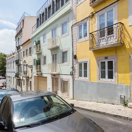 Flh Principe Real Bright